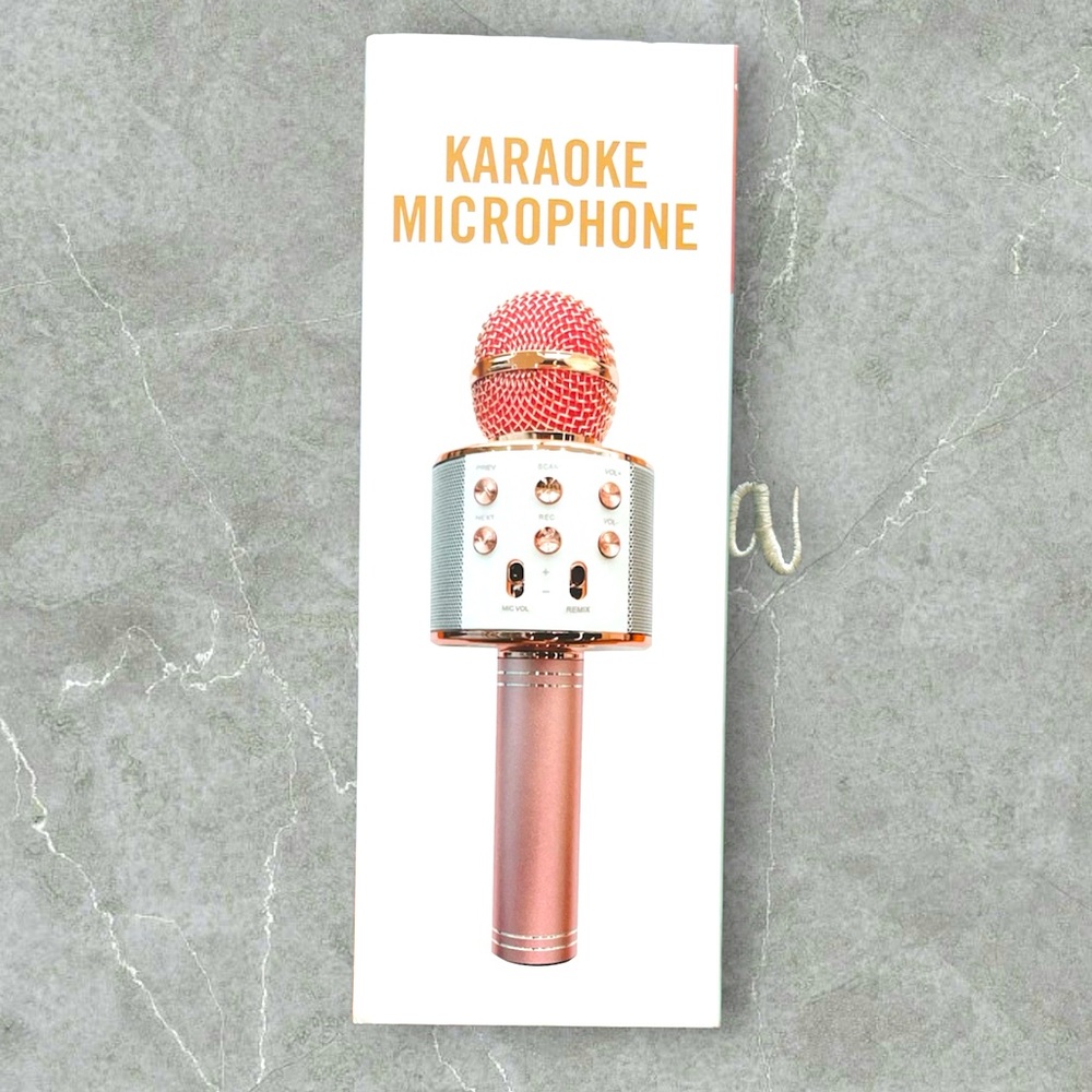 NEW Pink Karaoke Microphone!